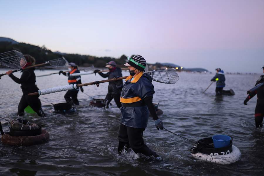 Как трудятся собирательницы моллюсков в Галисии