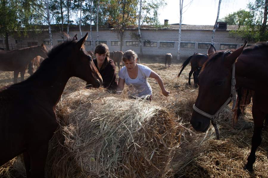 Конюхи Светлана и Ксения выкатывают в леваду рулон сена кормления лошадей