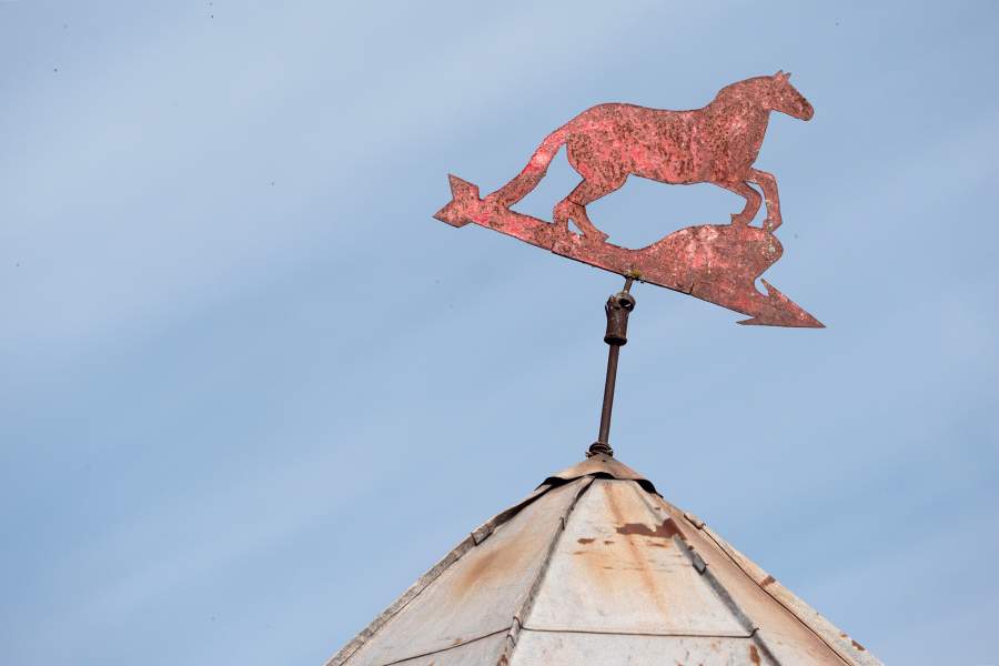 Флюгер на постройке на территории строгановских конюшен