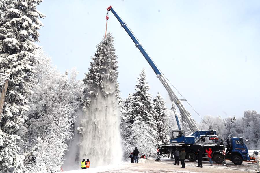 Рубка главной елки страны