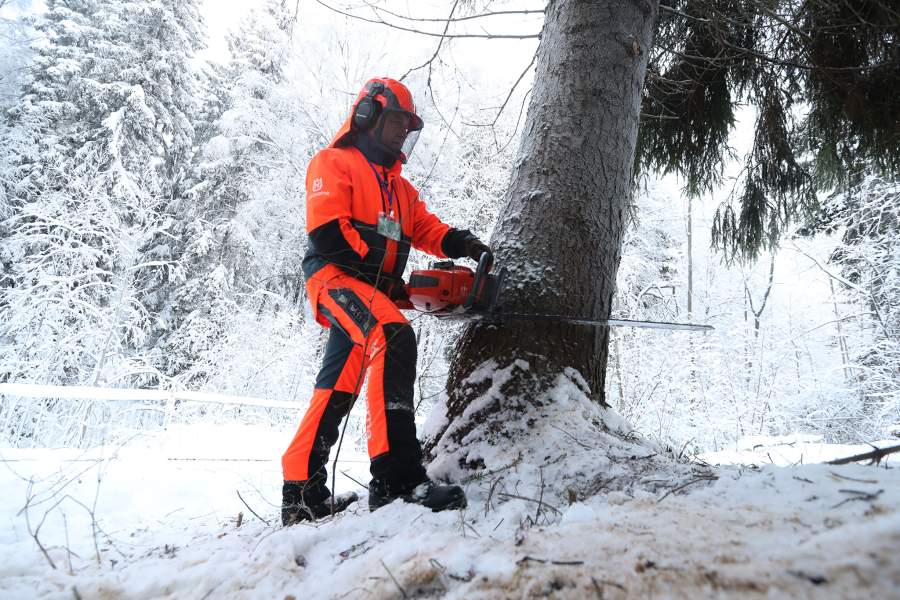 Рубка главной елки страны