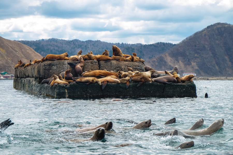 Внутренний туризм 2021