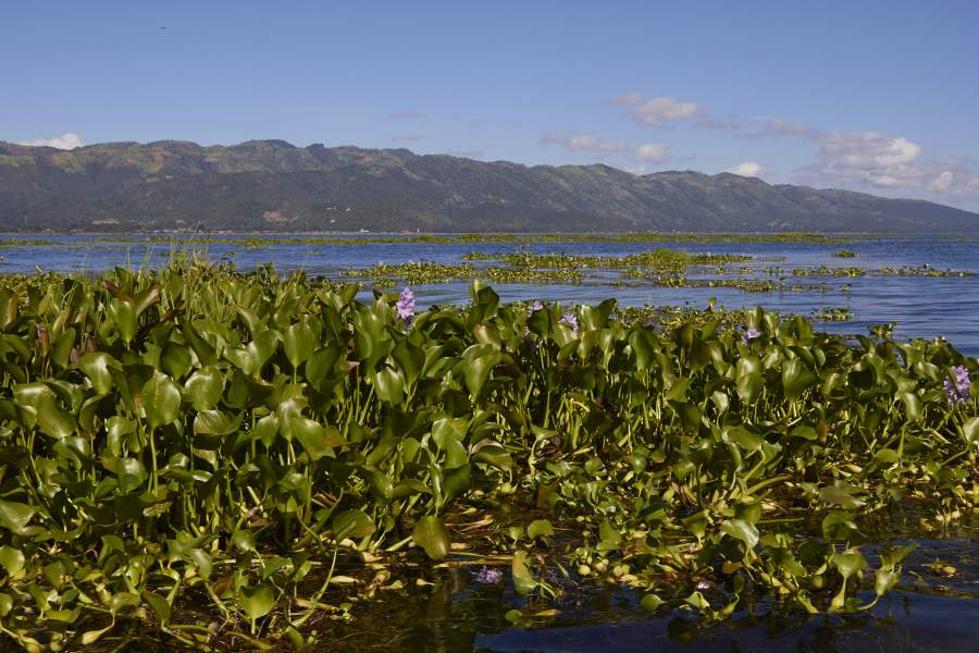 Жизнь на водах озера Инле