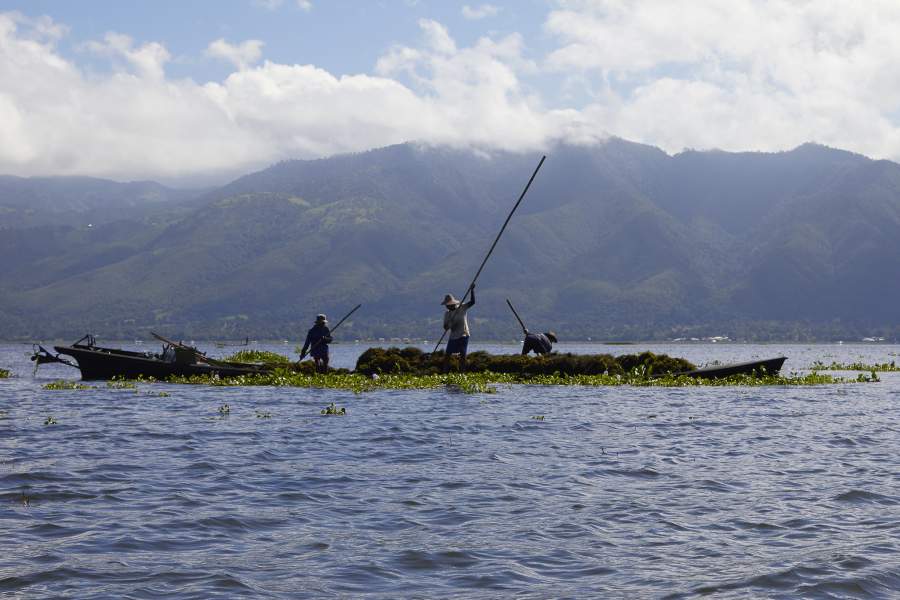 Жизнь на водах озера Инле
