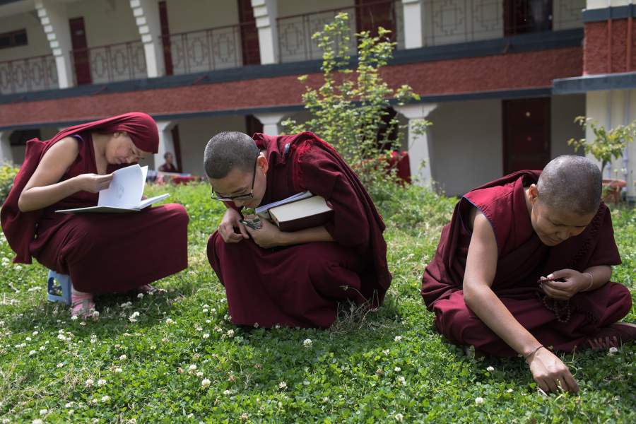 Жизнь тибетцев в северной Индии