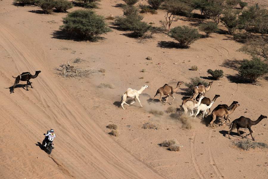 Ралли «Дакар»-2022