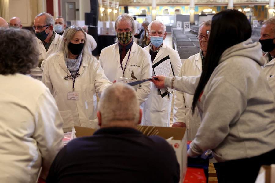 Международная выставка почтовых голубей «Homing Pigeon World Show»