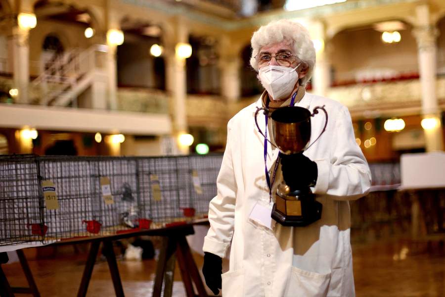 Международная выставка почтовых голубей «Homing Pigeon World Show»