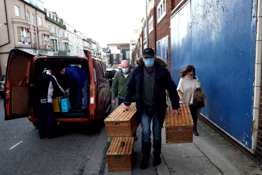 Международная выставка почтовых голубей «Homing Pigeon World Show»
