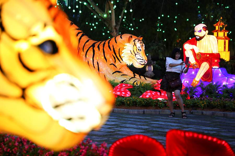 Как в мире отметили Новый год по лунному календарю