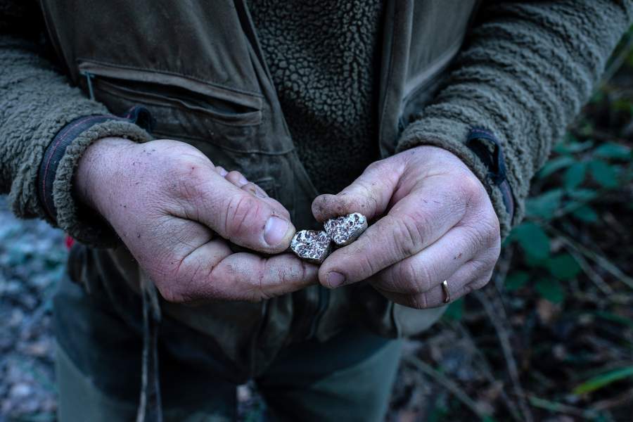 Как охотятся за трюфелями в итальянской провинции
