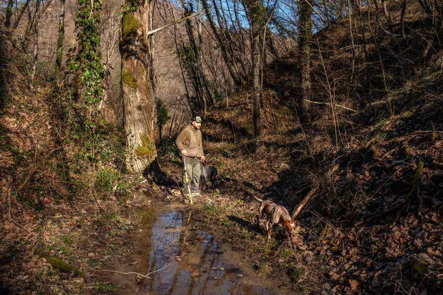 Как охотятся за трюфелями в итальянской провинции