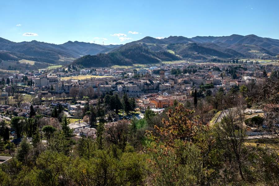 Как охотятся за трюфелями в итальянской провинции