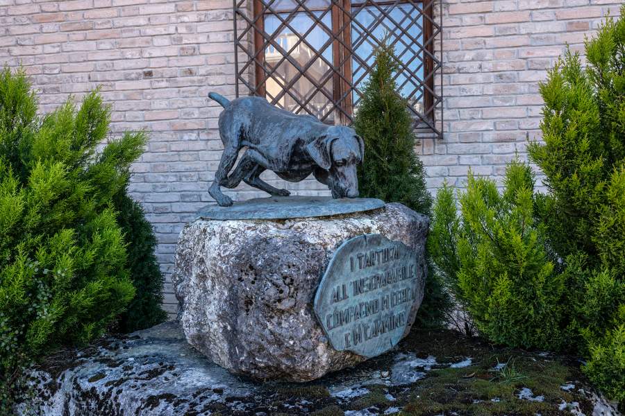 Как охотятся за трюфелями в итальянской провинции