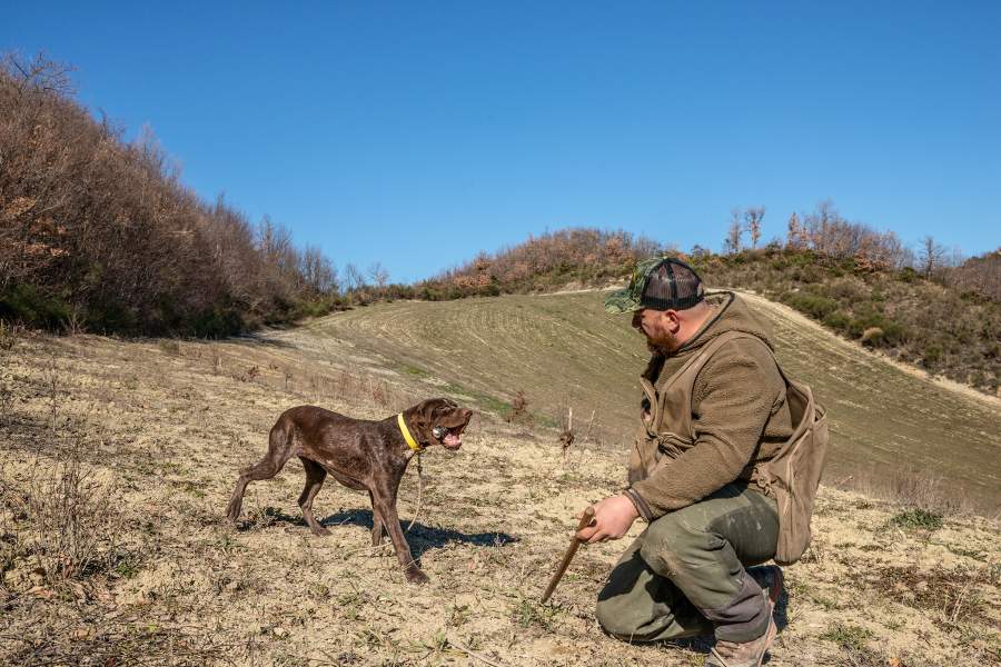 Как охотятся за трюфелями в итальянской провинции