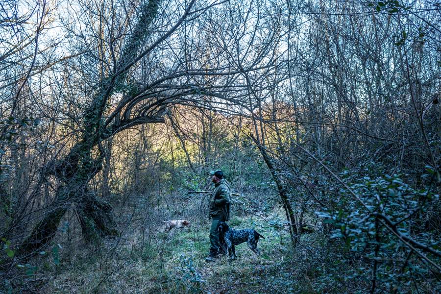 Как охотятся за трюфелями в итальянской провинции