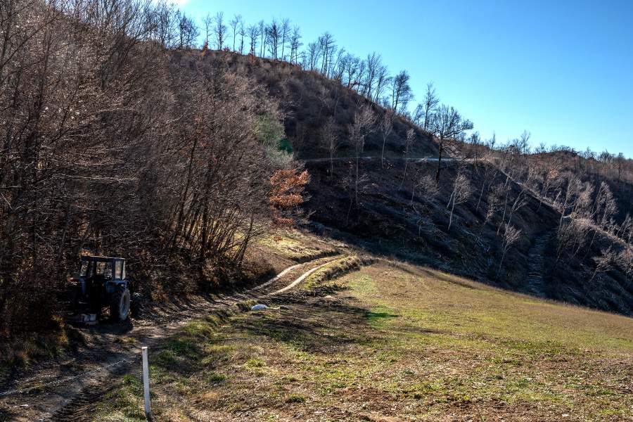 Как охотятся за трюфелями в итальянской провинции