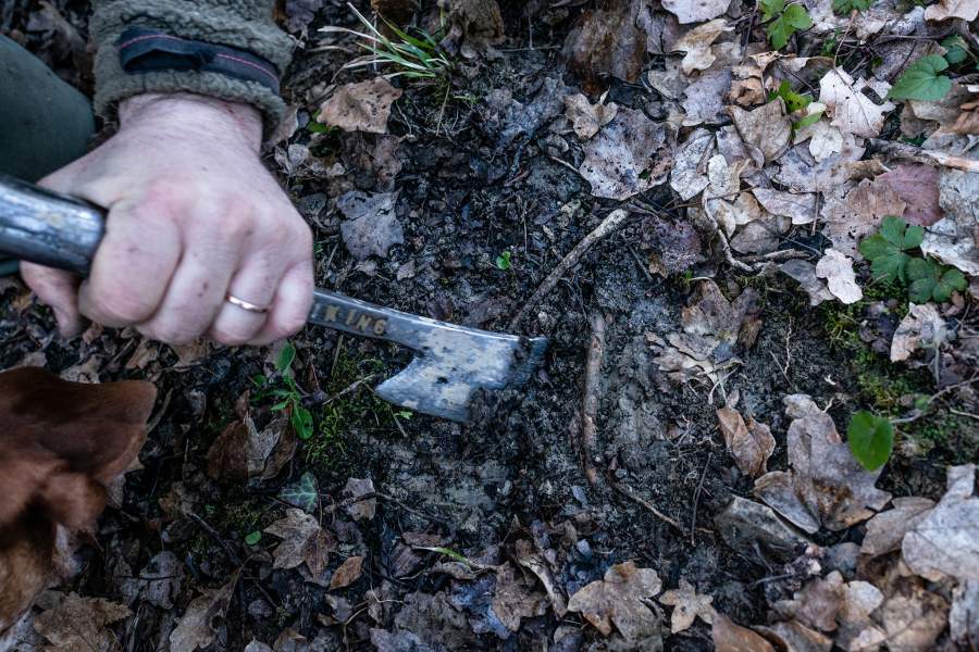 Как охотятся за трюфелями в итальянской провинции