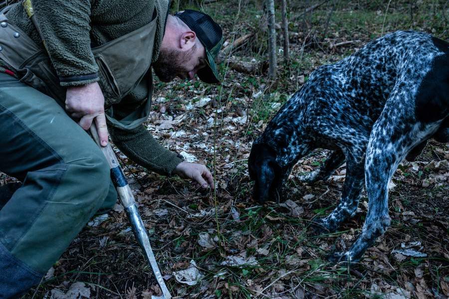 Как охотятся за трюфелями в итальянской провинции