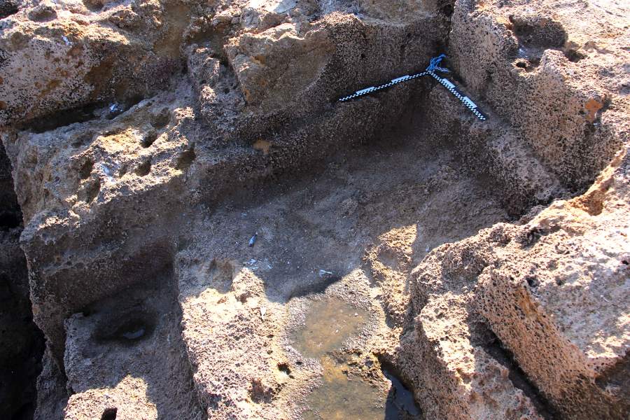 РГО, 2 вариант