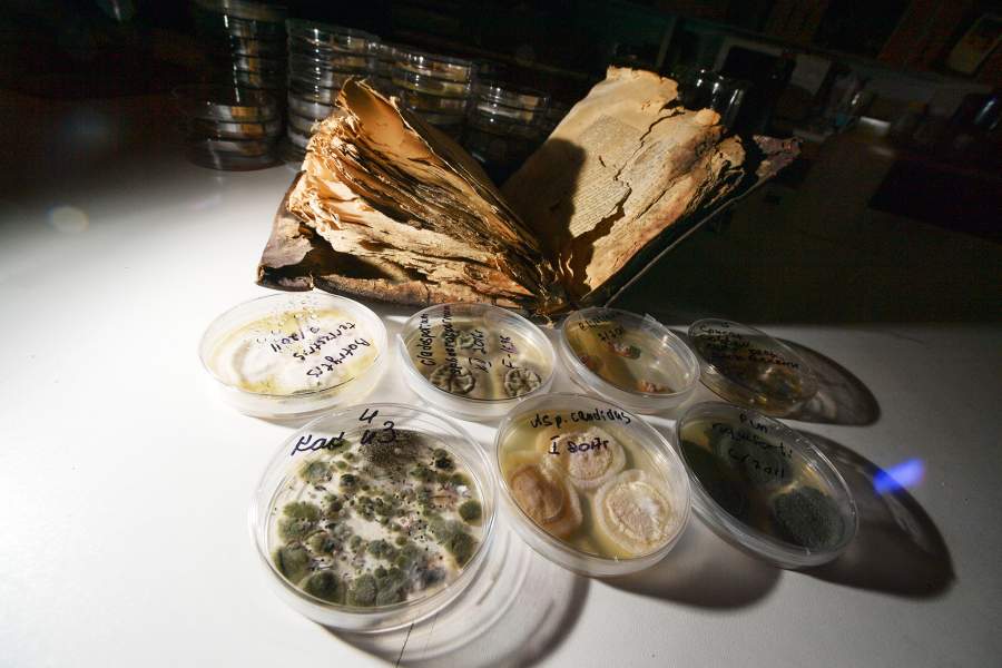 Как работает Федеральный центр консервации и реставрации библиотечных фондов в Санкт-Петербурге