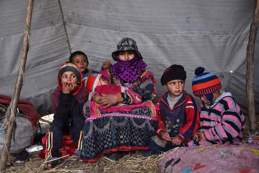 Жизнь бедуинов в египетской провинции Кафр-эль-Шейх