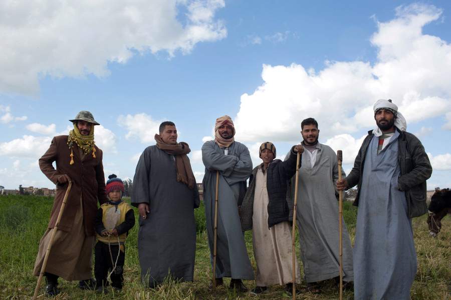 Жизнь бедуинов в египетской провинции Кафр-эль-Шейх