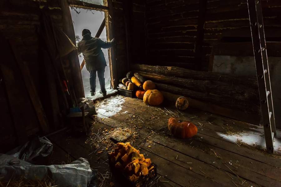 Татьянин день