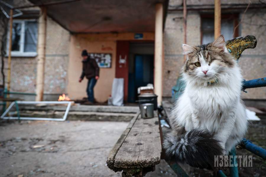 Город Счастье в Луганской области