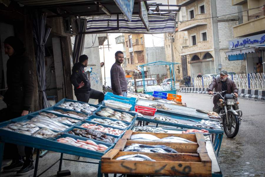 Древний Алеппо налаживает мирную жизнь