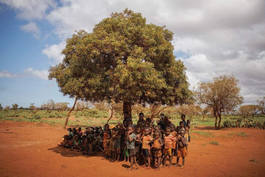 Мадагаскарцы борются с продолжительной засухой