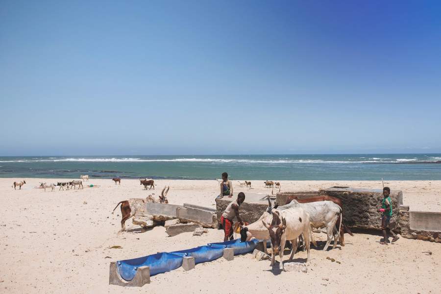 Мадагаскарцы борются с продолжительной засухой