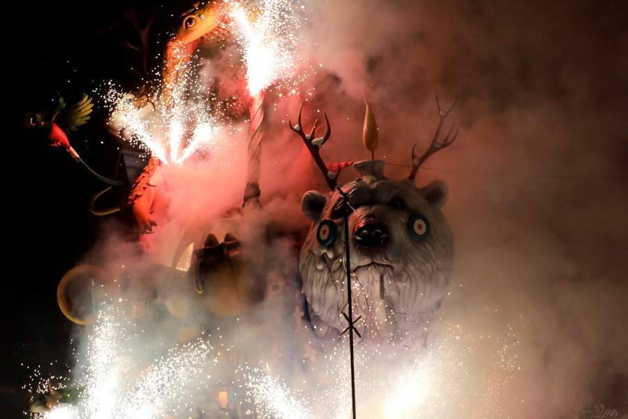 Прошедшая неделя в фотографиях