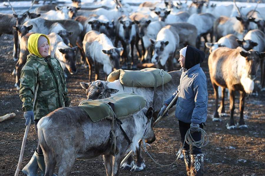 Сезонная кочевая школа «Мэрлэнкэ» в Якутии