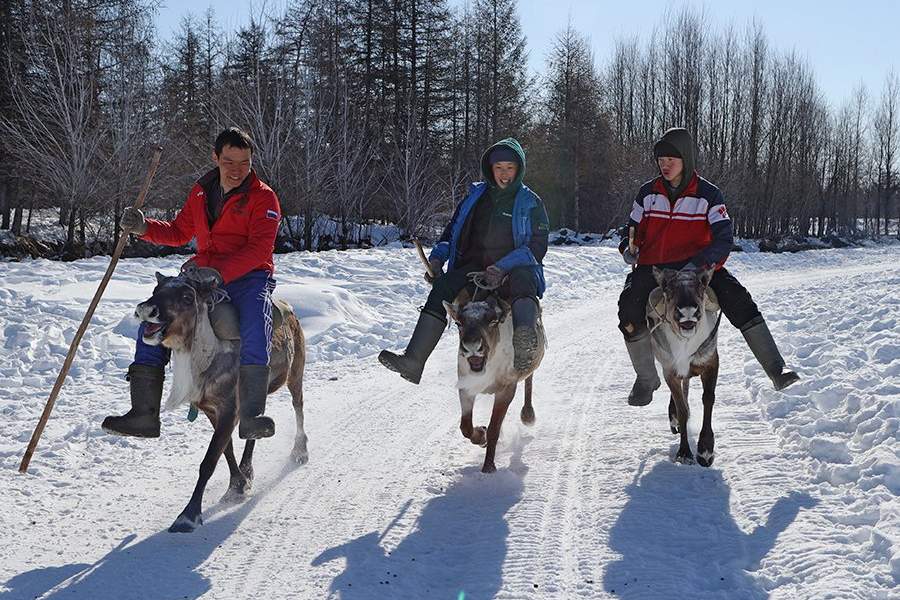 Сезонная кочевая школа «Мэрлэнкэ»  в Якутии
