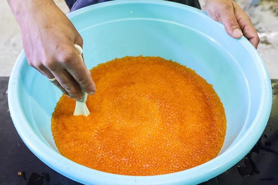 Как работает племенной форелеводческий завод "Адлер" в Сочи