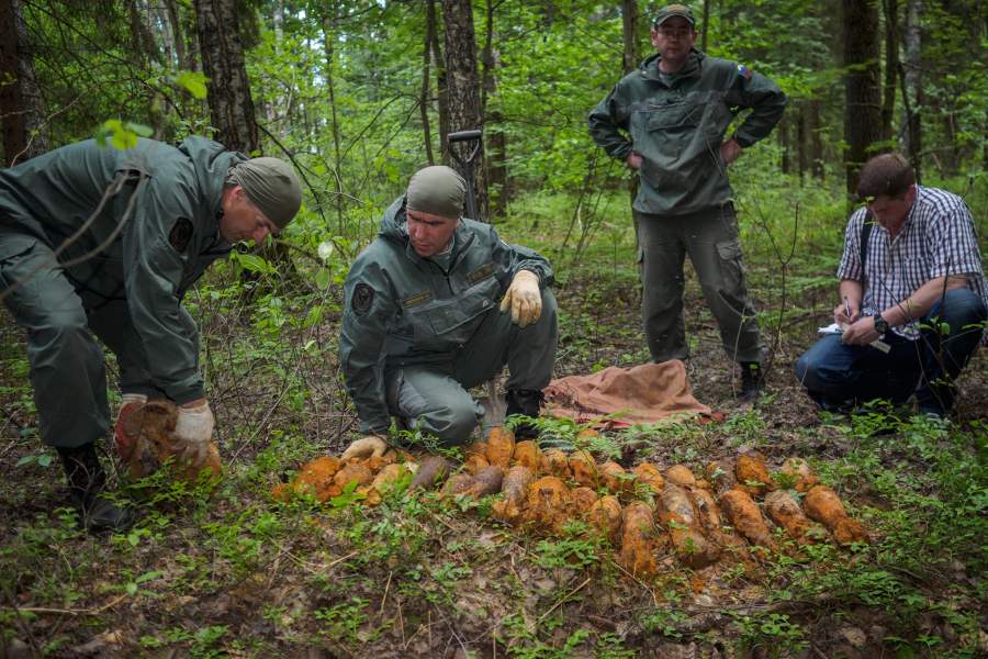 Cаперы в Смоленской области