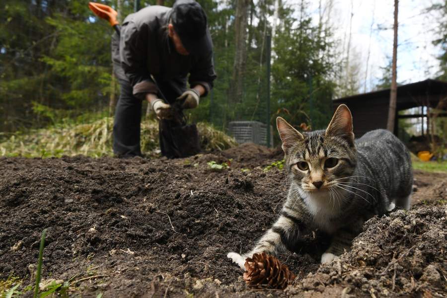 Фотографии прошедшей недели