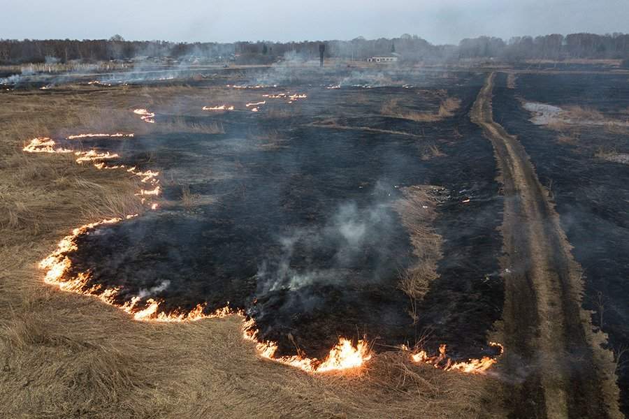 Природные пожары в России