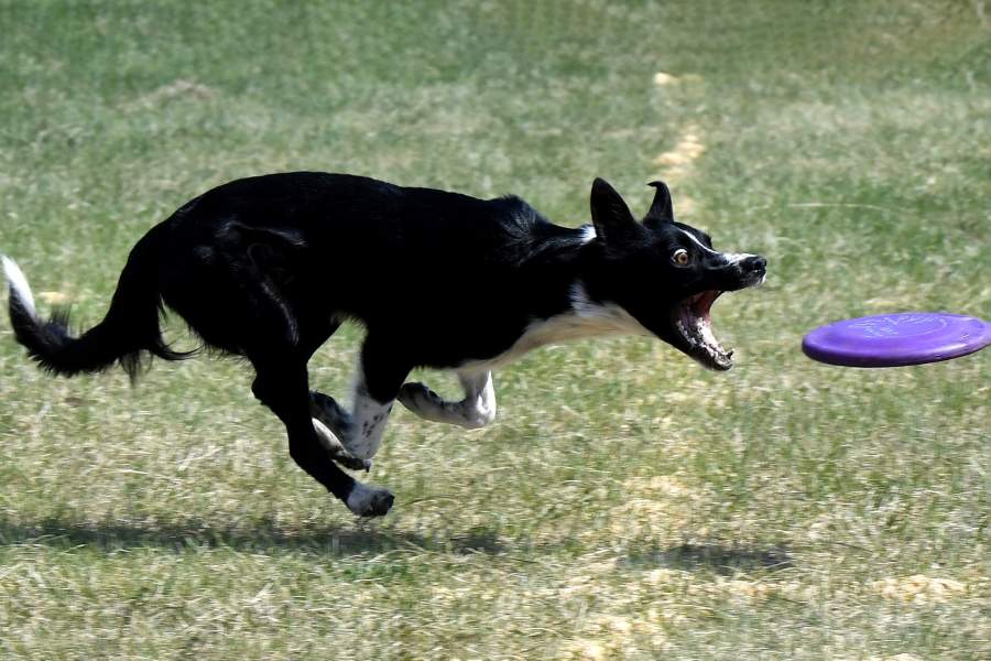 Прошедшая неделя в фотографиях