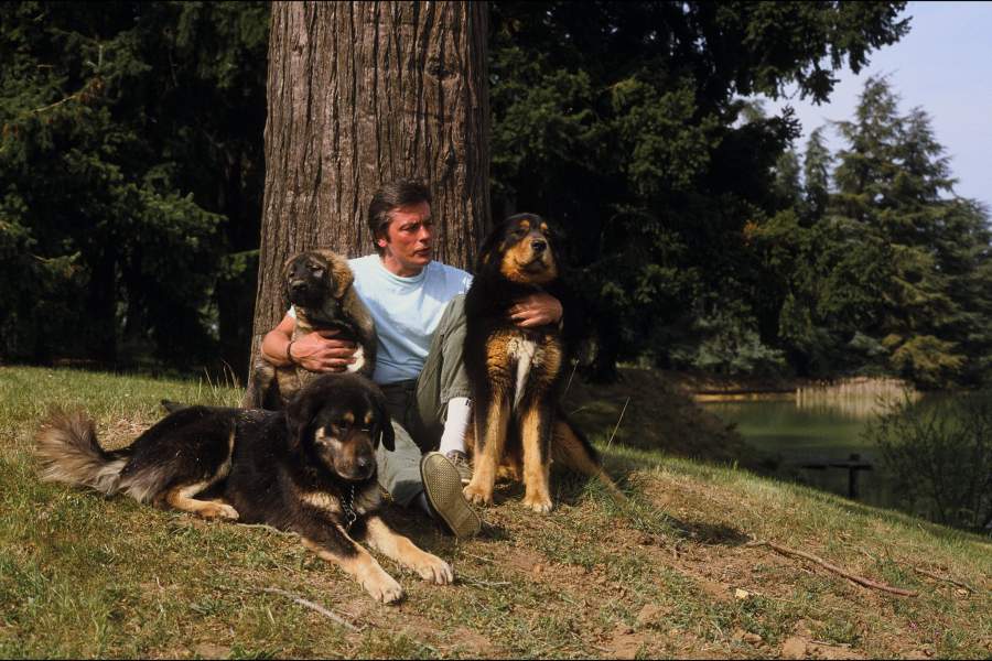 Умер Ален Делон