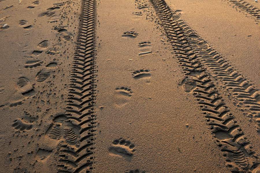 Южные Курилы