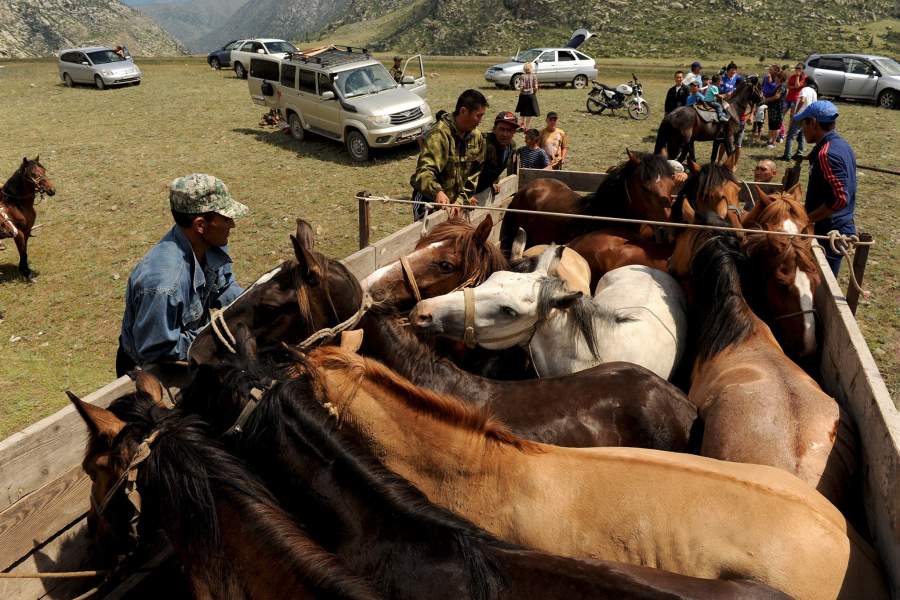 Как играют в кок бору жители Горного Алтая