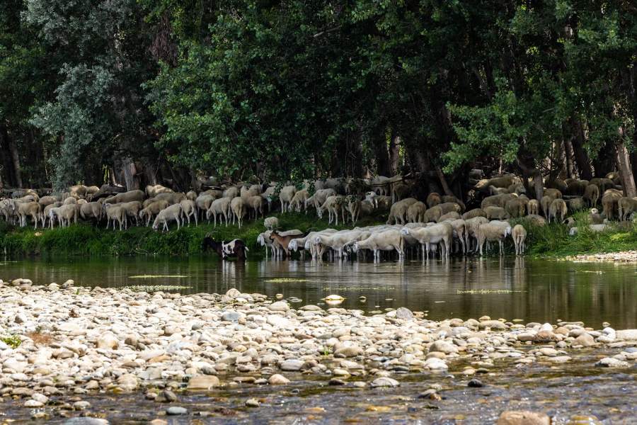 Засуха в Италии