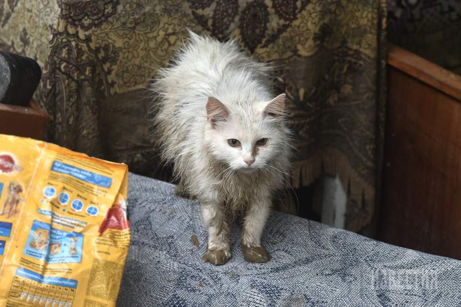 Потопы в Крыму