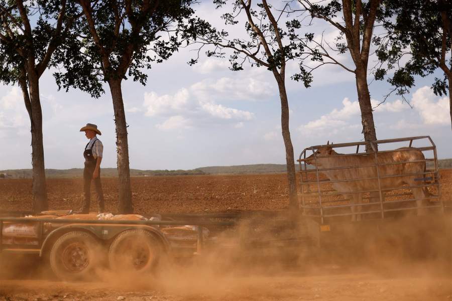 Жизнь меннонитов