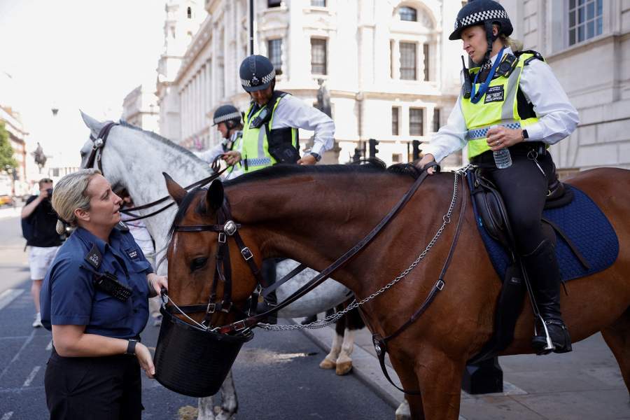 Аномальная жара, засуха и пожары в Европе