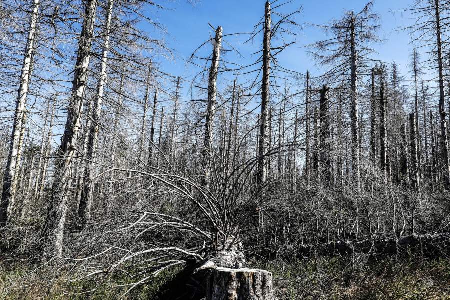 Аномальная жара, засуха и пожары в Европе