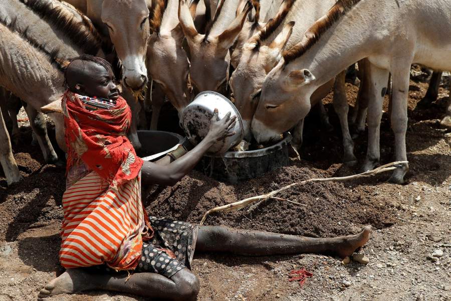 Засуха в Кении