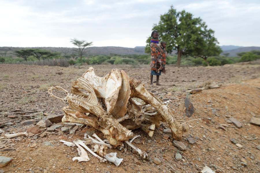 Засуха в Кении